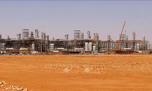 3 nước châu Phi khởi động đường ống khí đốt xuyên Sahara
