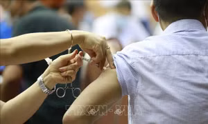 Bệnh nhân COVID-19 đã được chữa khỏi vẫn cần tiêm vaccine sau 6 tháng