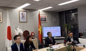 Việt Nam và khu vực Kyushu (Nhật Bản) tăng cường hợp tác nông nghiệp