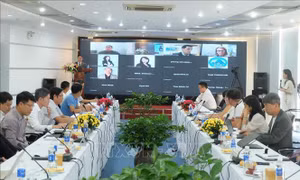 Đà Nẵng có tiềm năng trở thành 'Silicon Valley' của Đông Nam Á