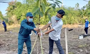 Tạo điều kiện để mọi người tham gia trồng cây, trồng rừng