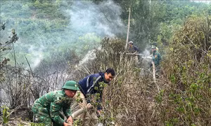 Kịp thời khống chế đám cháy thực bì dưới chân đèo Lý Hòa