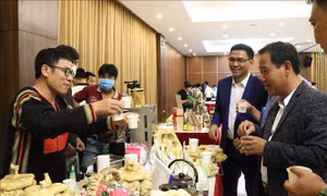 Xúc tiến, quảng bá và kết nối sản phẩm du lịch Đắk Lắk với Khánh Hòa