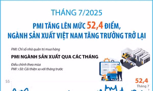 Tháng 7/2025, PMI tăng lên mức 52,4 điểm, ngành sản xuất Việt Nam tăng trưởng trở lại