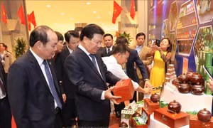 Liên kết phát triển kinh tế tập thể theo xu hướng hội nhập 