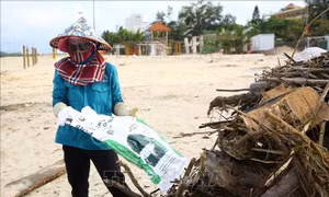 Huy động lực lượng và phương tiện làm sạch bãi biển Nhật Lệ sau bão