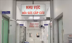 Chuyên gia chỉ cách hạn chế nguy cơ ngộ độc Botulinum