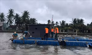 Khắc phục bão số 13: Đà Nẵng tập trung hỗ trợ các gia đình bị thiệt hại nặng
