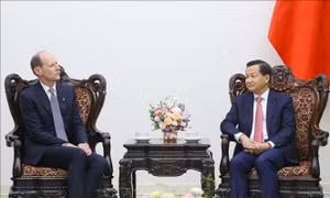 Phó Thủ tướng Lê Minh Khái tiếp Tổng Giám đốc Tập đoàn ANZ