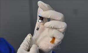 Mỹ công bố kết quả thử nghiệm lâm sàng đối với vaccine lao ID93+GLA-SE