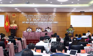 Thông qua Quy hoạch tỉnh Lào Cai thời kỳ 2021-2030, tầm nhìn đến năm 2050