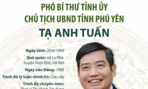 Ông Tạ Anh Tuấn được bầu giữ chức Chủ tịch UBND tỉnh Phú Yên
