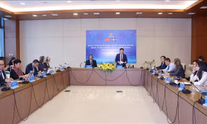 Định hình các khuôn khổ hợp tác mới trong quan hệ Việt Nam - Thụy Điển