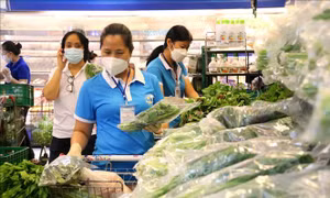  Thí điểm chương trình túi an sinh combo nông sản