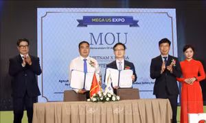 Ngày hội doanh nghiệp kết nối giao thương Việt Nam – Hàn Quốc