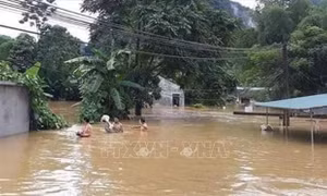 Mưa lũ gây nhiều thiệt hại tại Cao Bằng