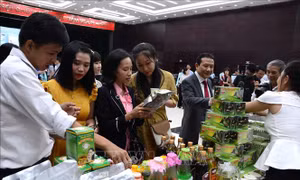 Đẩy mạnh ứng dụng khoa học công nghệ phát triển dược liệu vùng Tây Nguyên, Nam Trung Bộ
