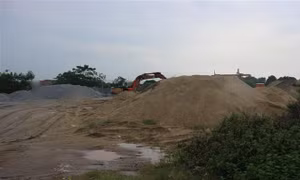 Thủ tướng Chính phủ yêu cầu kiểm tra phản ánh vi phạm pháp luật về đê điều