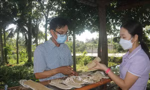Tạo thương hiệu riêng từ sản phẩm đồ gia dụng bằng xơ mướp