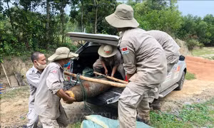 Quảng Trị: Tập trung rà phá diện tích đất bị ô nhiễm bom chùm