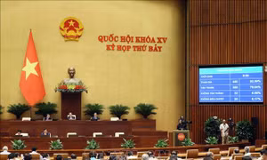 Kỳ họp thứ 7, Quốc hội khóa XV: Quốc hội chốt quy định cấm lái xe có nồng độ cồn
