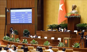 Kỳ họp thứ 7, Quốc hội khóa XV: Quốc hội thông qua Luật Đường bộ