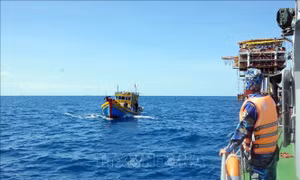 Phát hiện nhiều phương tiện vi phạm hành lang an toàn đường ống dẫn khí trên biển