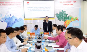 Vi phạm pháp luật đê điều chưa được xử lý triệt để
