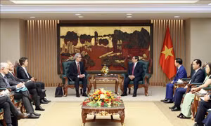 Thủ tướng Phạm Minh Chính tiếp Đoàn thanh tra chống khai thác IUU của EC