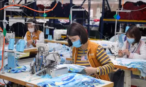 Rà soát sửa đổi, bổ sung quy định xử phạt hành chính trong lĩnh vực lao động