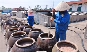 Nước mắm Cát Hải - Khẳng định thương hiệu Việt