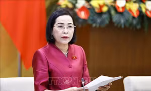 Tổ chức và hoạt động của Đoàn đại biểu Quốc hội, Hội đồng nhân dân sau sắp xếp đơn vị hành chính