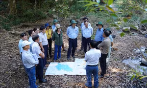 Bình Thuận kiến nghị điều chỉnh chủ trương đầu tư Dự án hồ chứa nước Ka Pét