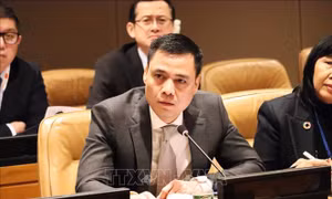 Việt Nam nhấn mạnh hòa bình và ổn định là điều kiện tiên quyết để tìm kiếm giải pháp cho các thách thức toàn cầu
