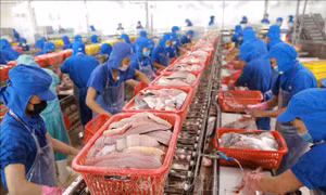 Ứng dụng công nghệ số trong kết nối cung cầu sản phẩm nông nghiệp