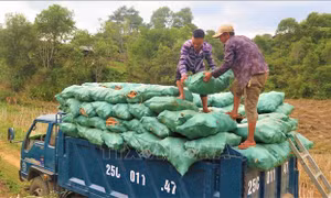 Hiệu quả từ nỗ lực giảm nghèo nơi vùng cao biên giới