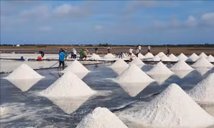 Tận dụng lợi thế, phát triển nghề muối Bạc Liêu