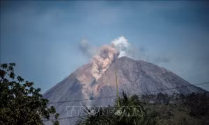 Indonesia sơ tán khẩn cấp hàng nghìn người gần núi lửa Semeru