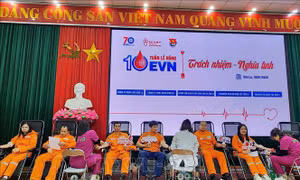 Lan tỏa tuần lễ hồng EVN lần thứ X: Trách nhiệm - Nghĩa tình