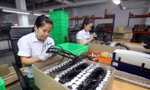 CH Czech tăng cường hợp tác thương mại với Việt Nam