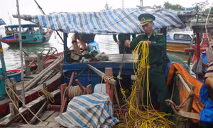 Hàng loạt phương tiện dùng kích điện tận diệt hải sản tại Cửa Lò