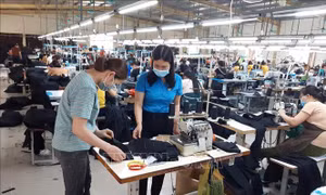 Có thể nộp đề nghị hỗ trợ do gặp khó khăn qua hình thức trực tuyến