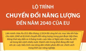 Lộ trình chuyển đổi năng lượng đến năm 2040 của EU