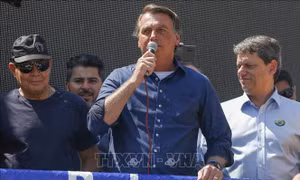 Mâu thuẫn gia tăng giữa Tổng thống Jair Bolsonaro và Tòa án tối cao