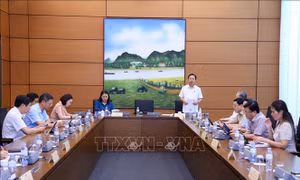 Kỳ họp thứ 5, Quốc hội khóa XV: Quốc hội thảo luận, cho ý kiến về 3 dự án Luật