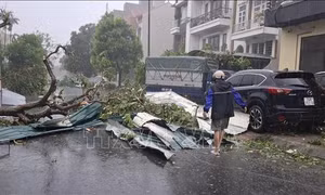 Bão số 3: Thăm hỏi, động viên người bị thương tại bệnh viện ở Quảng Ninh
