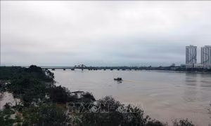 Chủ động ứng phó với lũ lớn trên sông, di dời dân đến nơi an toàn