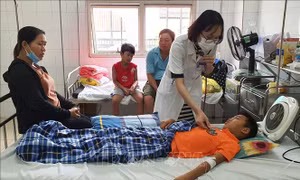 Sốt xuất huyết tiếp tục diễn biến phức tạp và có xu hướng gia tăng