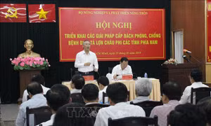 Các tỉnh miền Nam gấp rút xây dựng kịch bản ứng phó với dịch tả lợn châu Phi