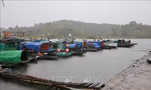 Quảng Ninh khẩn trương khắc phục hậu quả cơn bão số 3